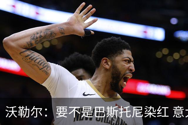 沃勒尔：要不是巴斯托尼染红 意大利能进 德国想拿小组第一不容易